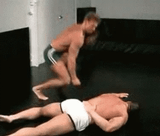 gachi-gachimuchi