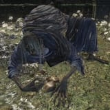 Hollowed_Cleric