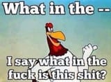 i say