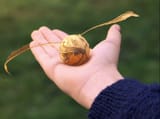 snich_dorada_harry_potter-1