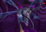 chykka 2