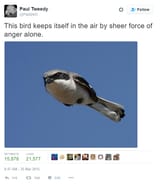 1746840943779484