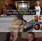 walter thick tree