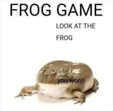 frog_game