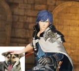 pet