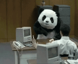 angry-panda