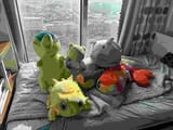 IMG_0711(1) (1)