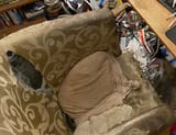 chair