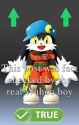 klonoa-check_thumb.jpg