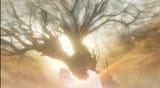 shadow-tree-hand