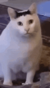 1702545737837246