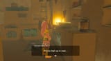 gerudo-existing-to-comment-on-li(1)