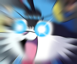 W A H O O