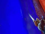IMG_0723[1]