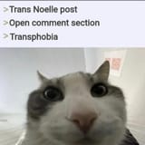 1731322817485695
