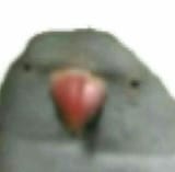 1737831697715401