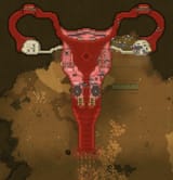 check-out-the-womb-shaped-base-i-designed-for-my-female-v0-3hgx3inwvjbf1[1]