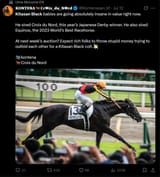 kitasan black