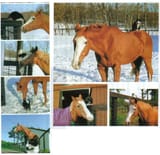 zthlwylq59af1 (1)