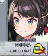 1609724742354