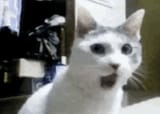 omg
