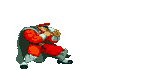 bison