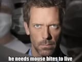 he needs mouse bites to live