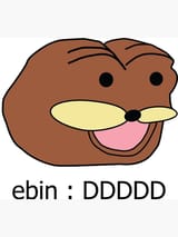 ebin