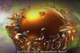 root
