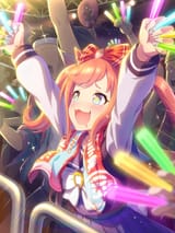 tex_support_card_20005