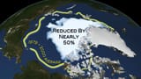 arctic