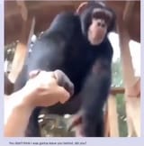 04fb936e0005d5e5e2fe5d02a58a5b88aec94e3cb8601f080c0192455798c12c_3