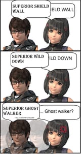 THE_SUPERIOR_FORM