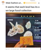 20250713_213427