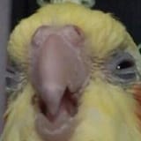 1727117140583175