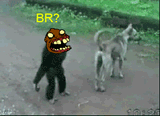 1733453309609365