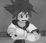 Distressed Sora