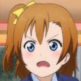 honkrage