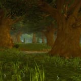 Elwyn forest