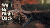 Caelid Crows
