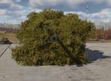 mirage tank