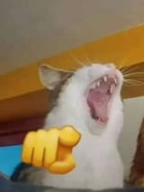 09db0cde356d3fb1d7e46d34e3289fff