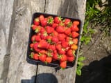 IMG_20250601_110005