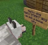 1620260408982