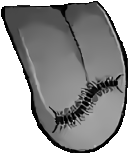 1705510773243575