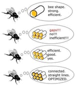 optimized