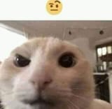 1652532839314