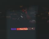 Pale Fixer