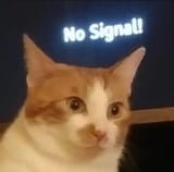 no signal kot