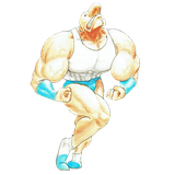 Bruiser